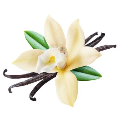 Vanilla