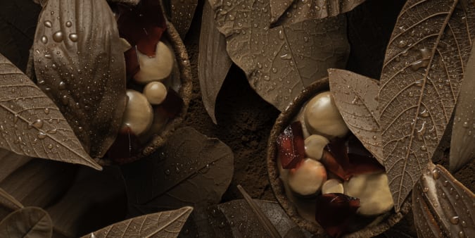 Amatika chocolate ambiance